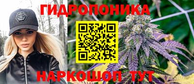 крисы Ипатово